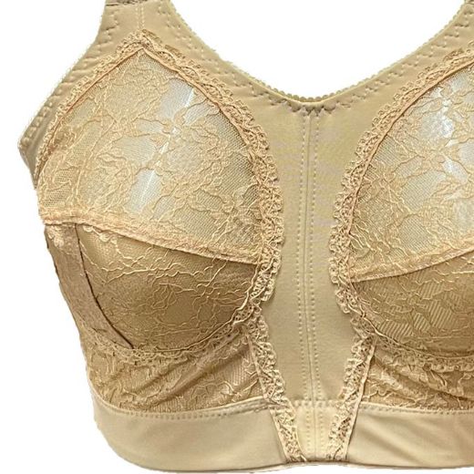 Picture of LADY'S BRA BASK
