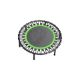 Picture of TRAMPOLINE 21